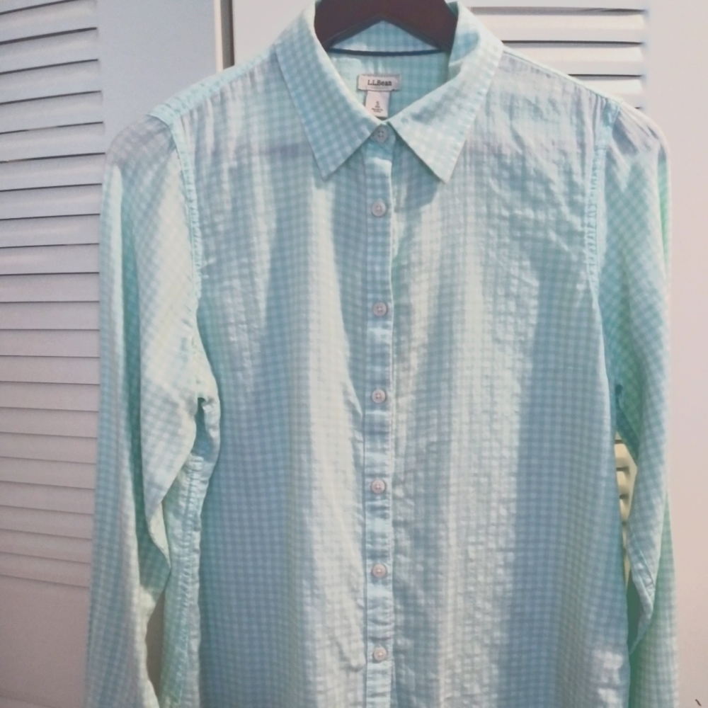 L.L. Bean mint green gingham button down shirt. Small.